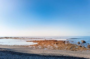 callado-las-galletas                 